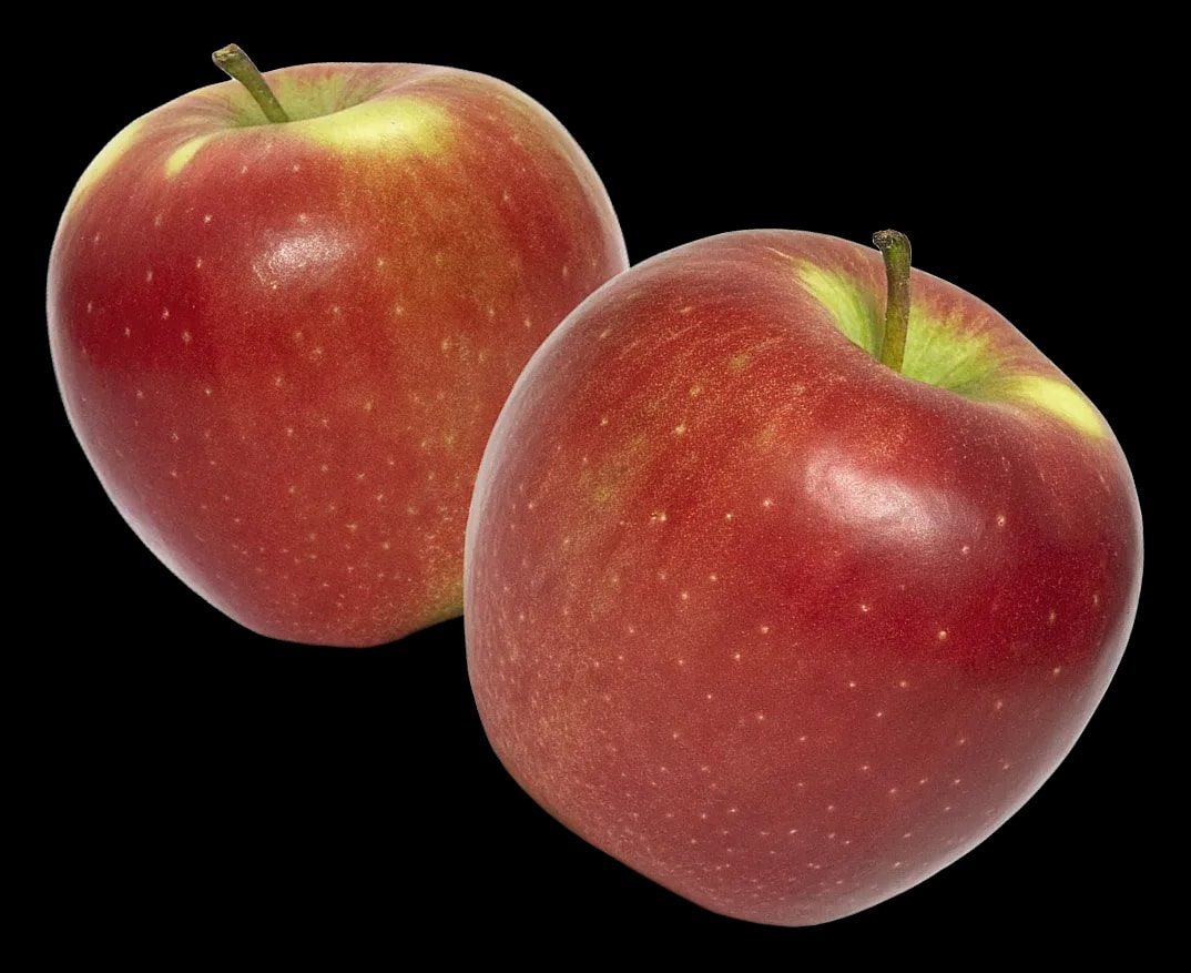 McIntosh apples