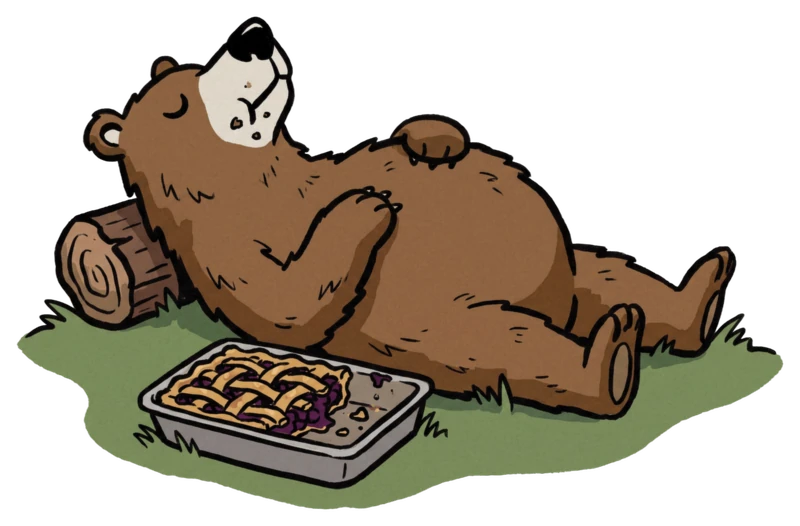 A brown bear napping in the grass beside an empty blueberry pie tin